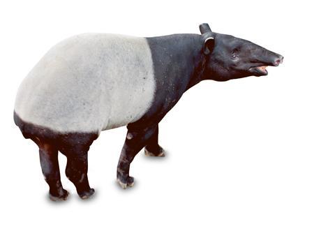 /